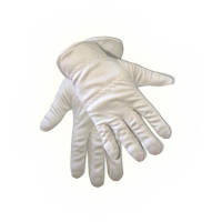 Jewelry Stores Gloves